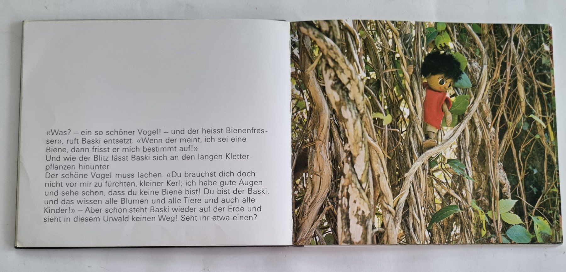 Libri: BASKI 3, Mit Baski durch den Urwald, Heinrich Gohl – Usato da Opfikon venduto da Diversamente 6