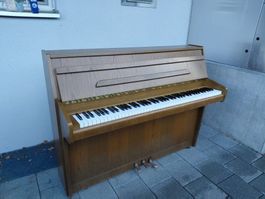 Klavier Schimmel