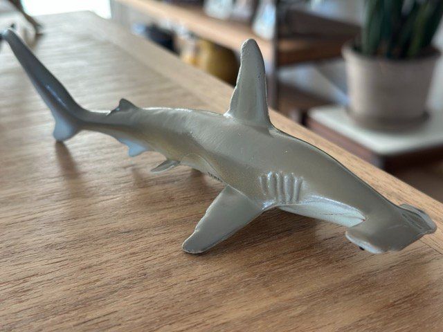 Statuette: Safari Ltd. Hammerhai Sammelfigur – Usato da Fällanden venduto da SafariSchleichCH