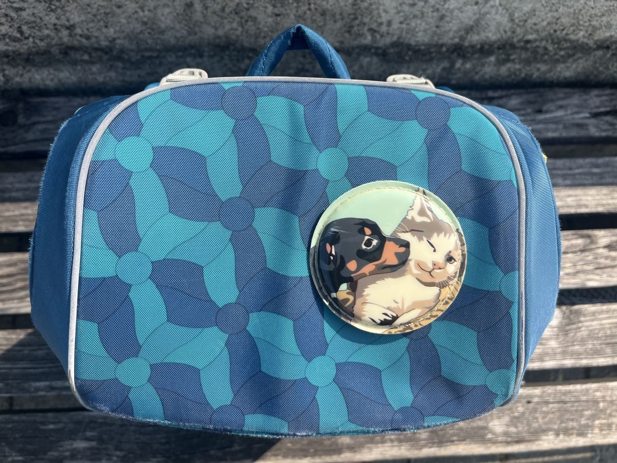 Ergobag Kindertaschen: Ergobag Schulranzen blau – Gebraucht aus Stäfa von vic_x2d6 4
