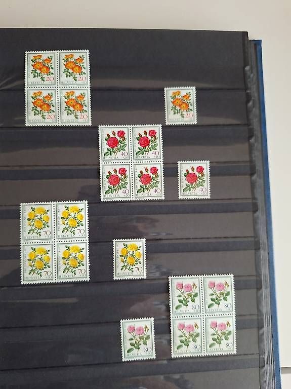 Tutti i francobolli: Briefmarken, ungestempelt – Usato da Oberengstringen venduto da Goldstueck58 2