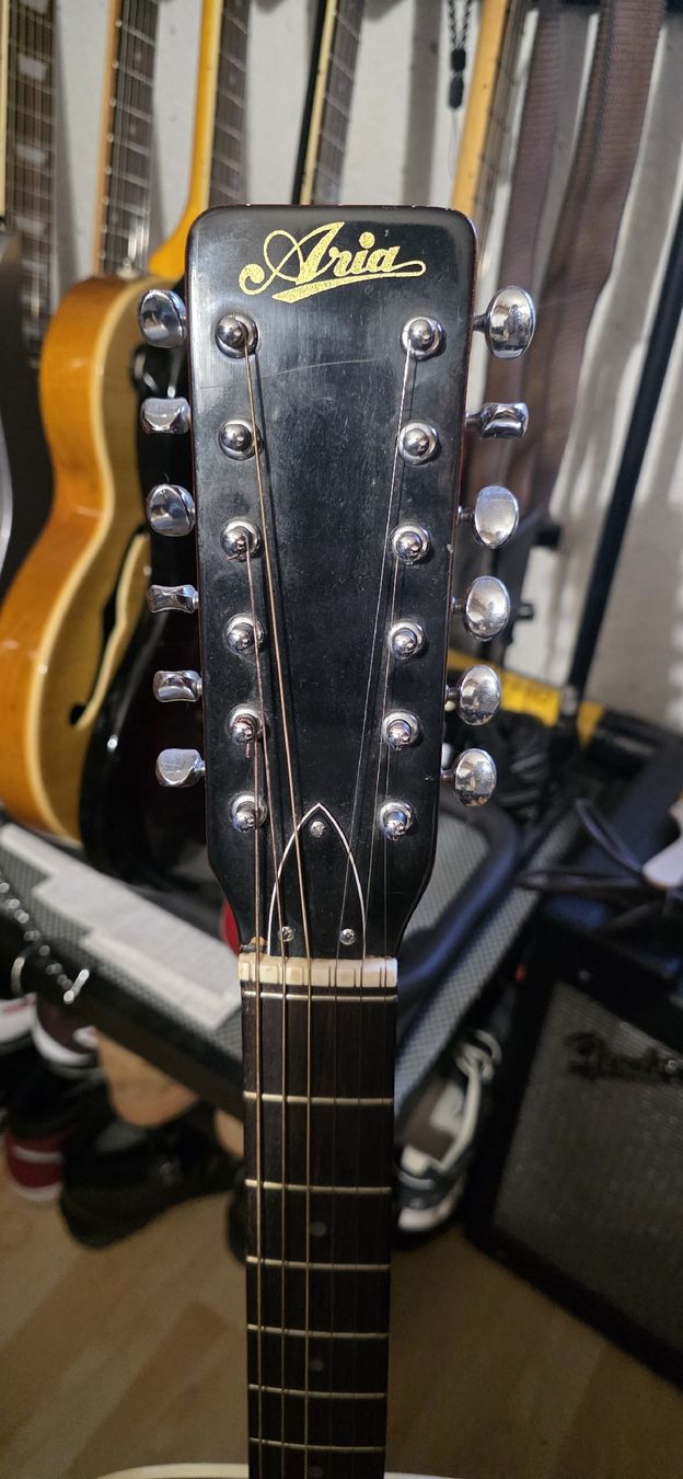 Aria Strumenti musicali: Aria acoustic 12 String Guitar  – Difettoso da Chur venduto da ACE18 1