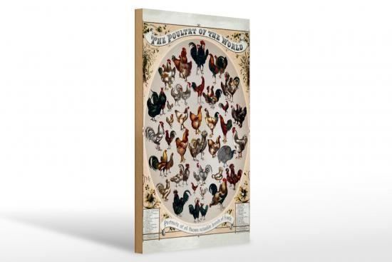 Insegne: Blechschild-GEFLÜGEL VON DER WELT – Nuovo e nell'imballaggio originale da Rupperswil venduto da big-one-sale 1