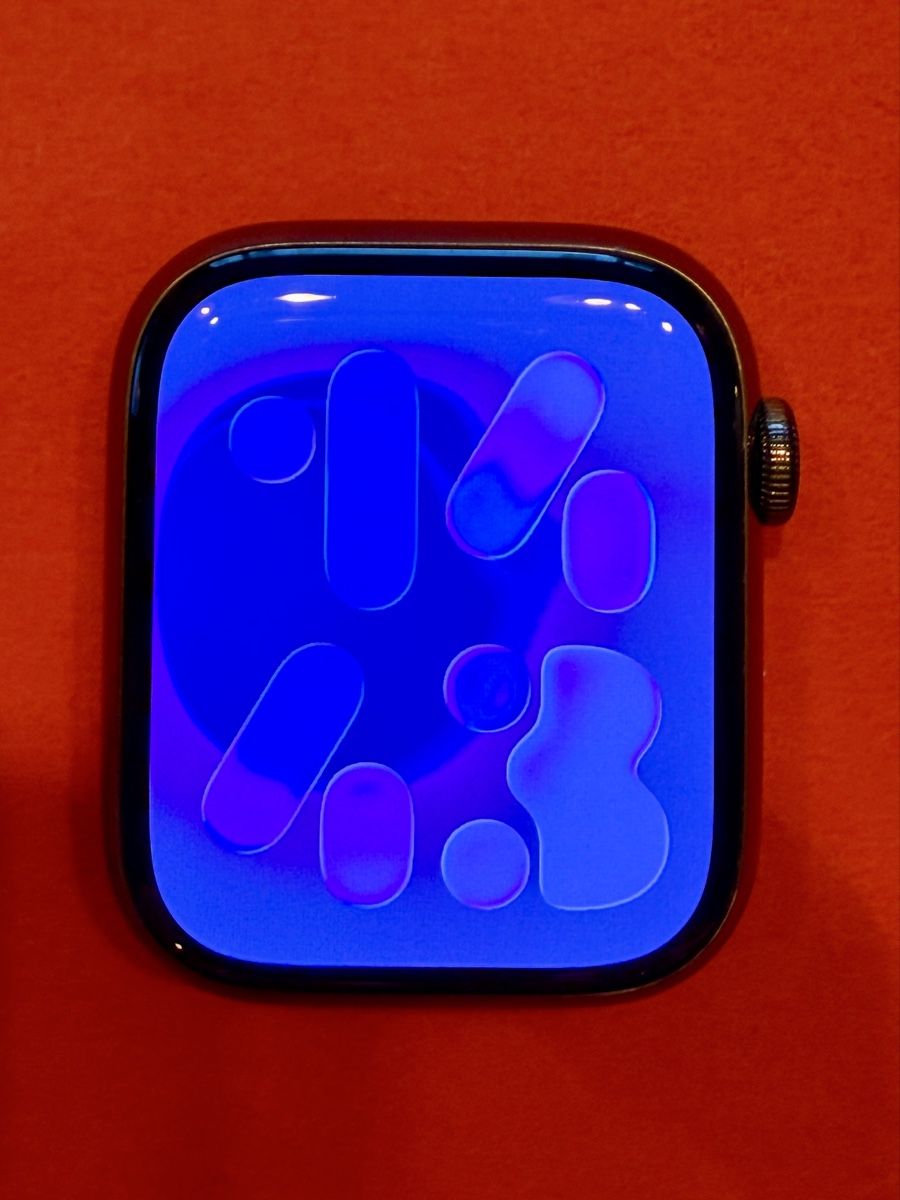 Apple Smartwatch: Apple Watch 9, Stainless Steal Black – Usato da Neuhaus SG venduto da Toppenau