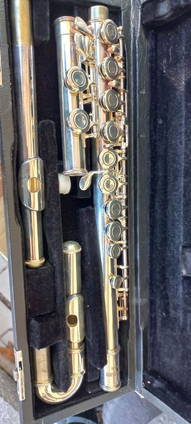 Instruments de musique: Quetflöthe Thomam – Neuf (Voir description) à Schaffhausen par raj_f5dm