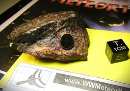 69 g Chondrite  Meteorit Meteorite NWA 869 MAXI
