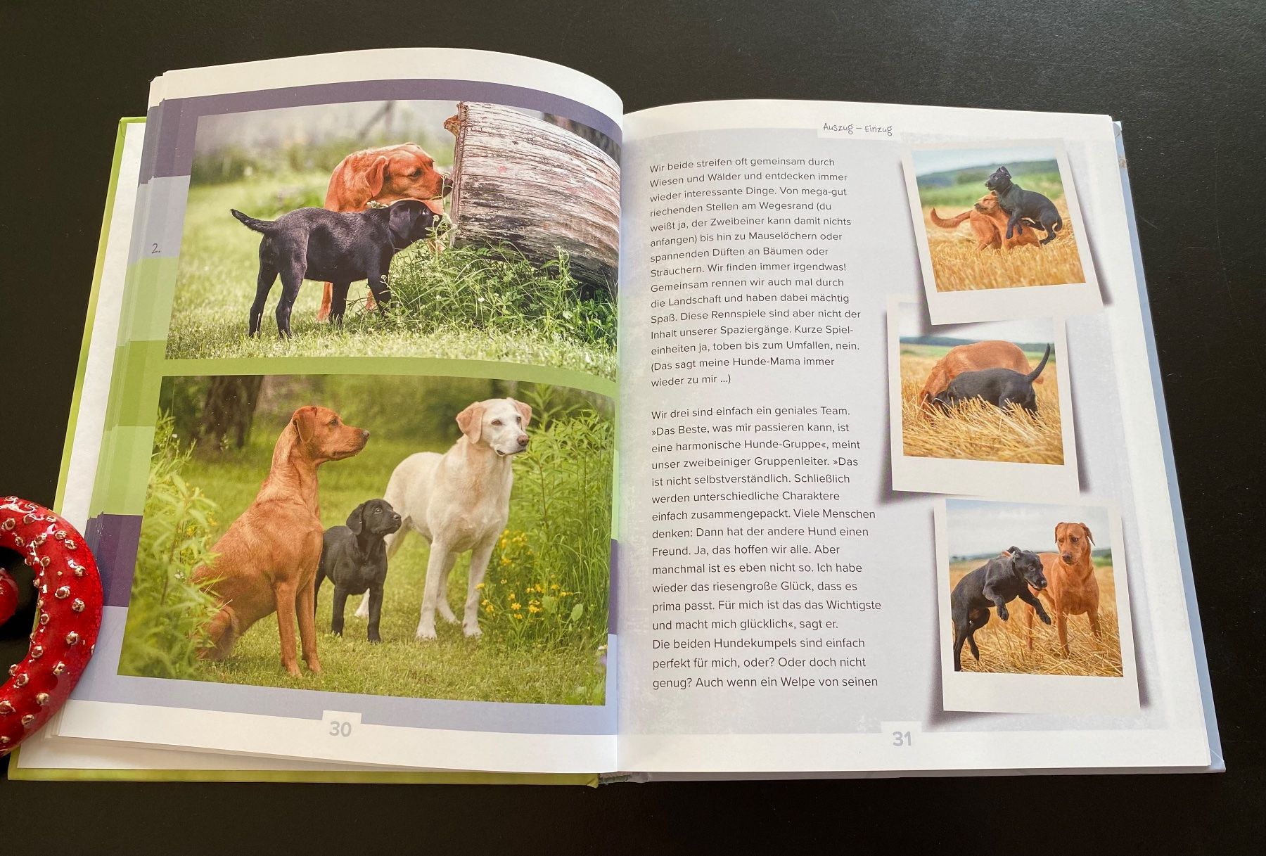 Libri: RAMBAZAMBA MIT LABBI MAMBA – Usato da Nussbaumen AG venduto da schuba2000 4