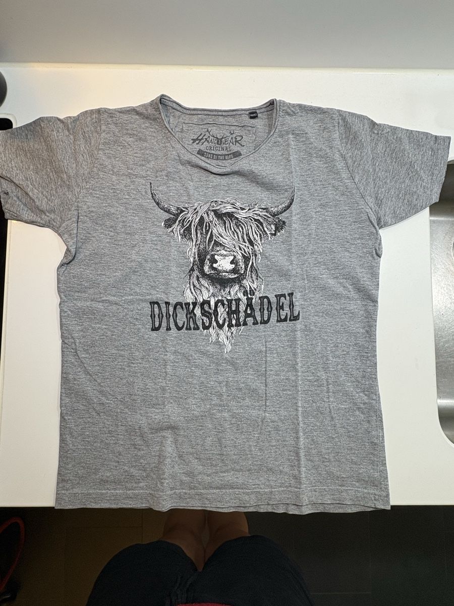 T-Shirts: T-Shirt "DICK SCHÄDEL" Grau Gr. 146/152 – Gebraucht aus Ehrendingen von DeDana
