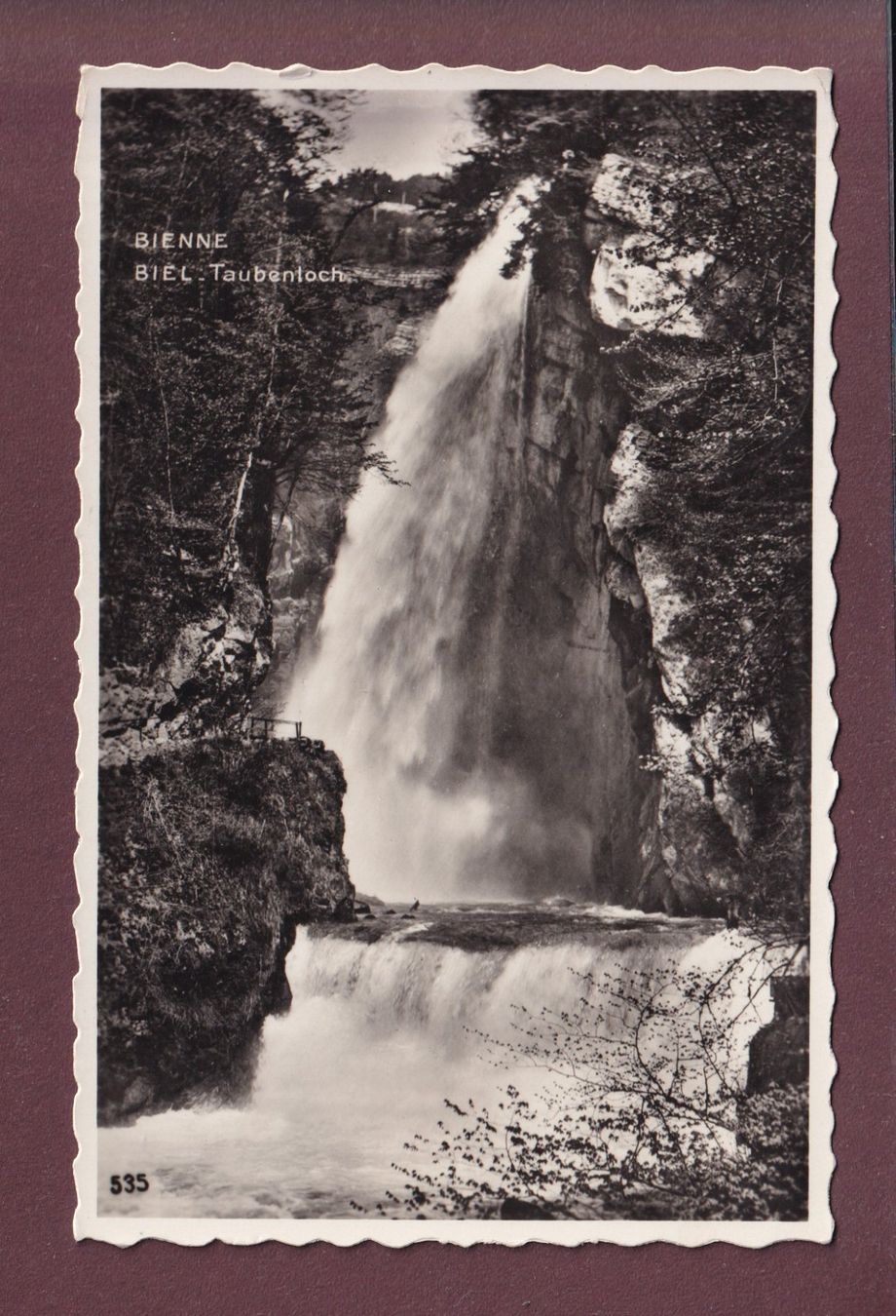 Ansichtskarten: BIEL - Taubenloch - 1954 – Gebraucht aus Pully von nicecards