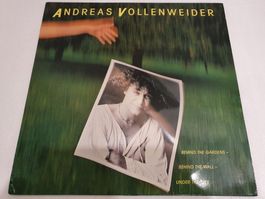 Andreas Vollenweider – Behind The Gardens - Behind The Wall