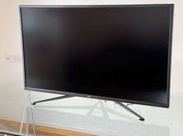 ASUS Republic of Gamers Screen 43"