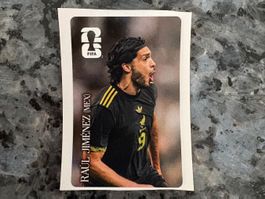 Panini WM 2026 Coca Cola Sticker Raul Jimenez