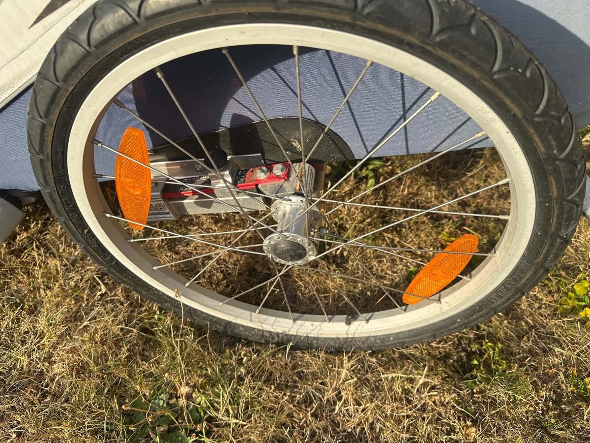 Rimorchi: chariot veloanhänger – Usato da Gutenswil venduto da Bregenzer8610 5