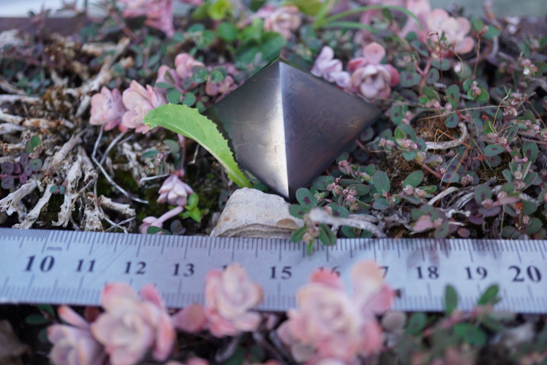 Minerali & Pietre curative: Schungit / Shungit  Pyramide     3cm – Nuovo e nell'imballaggio originale da Eschenbach SG venduto da topstone