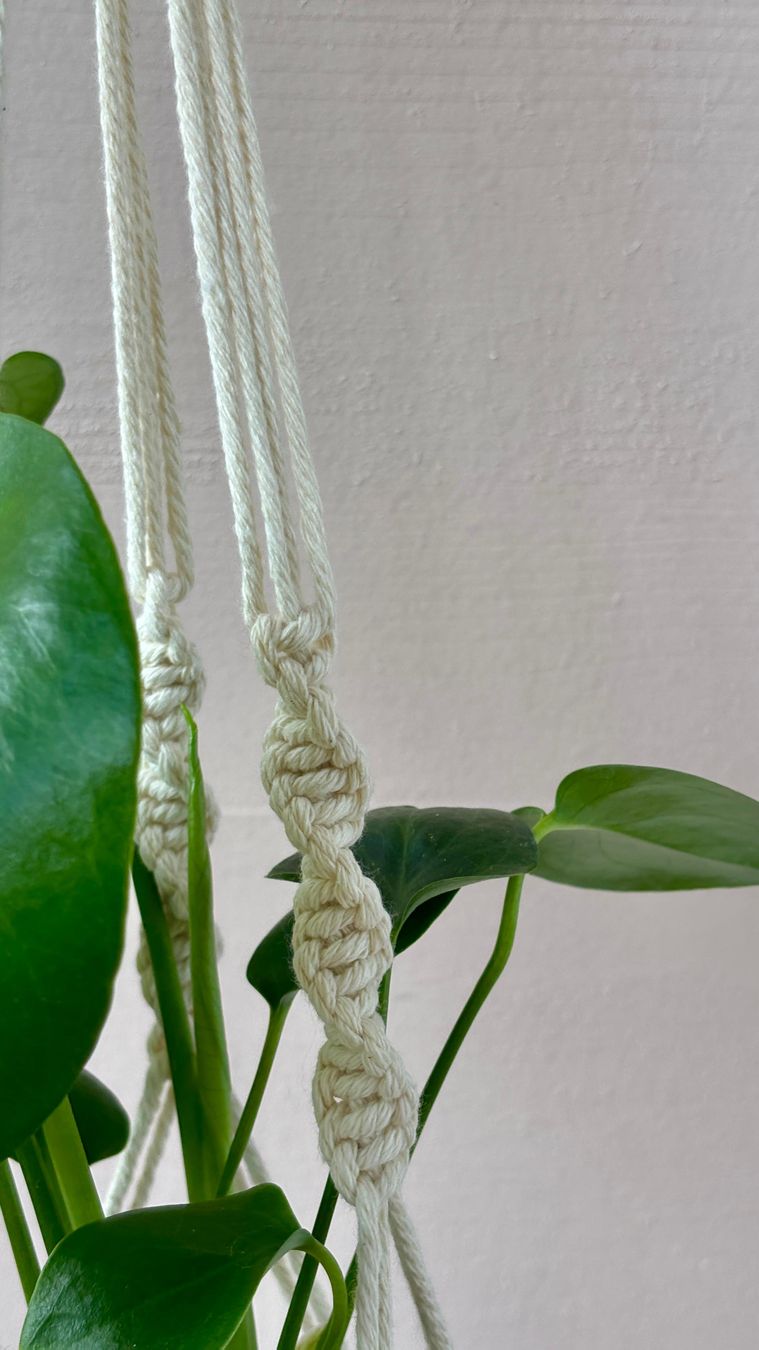 Tutte le decorazioni: Makramee Pflanzenhänger Blumenampel – Nuovo e nell'imballaggio originale da St. Gallen venduto da vi_fi 4