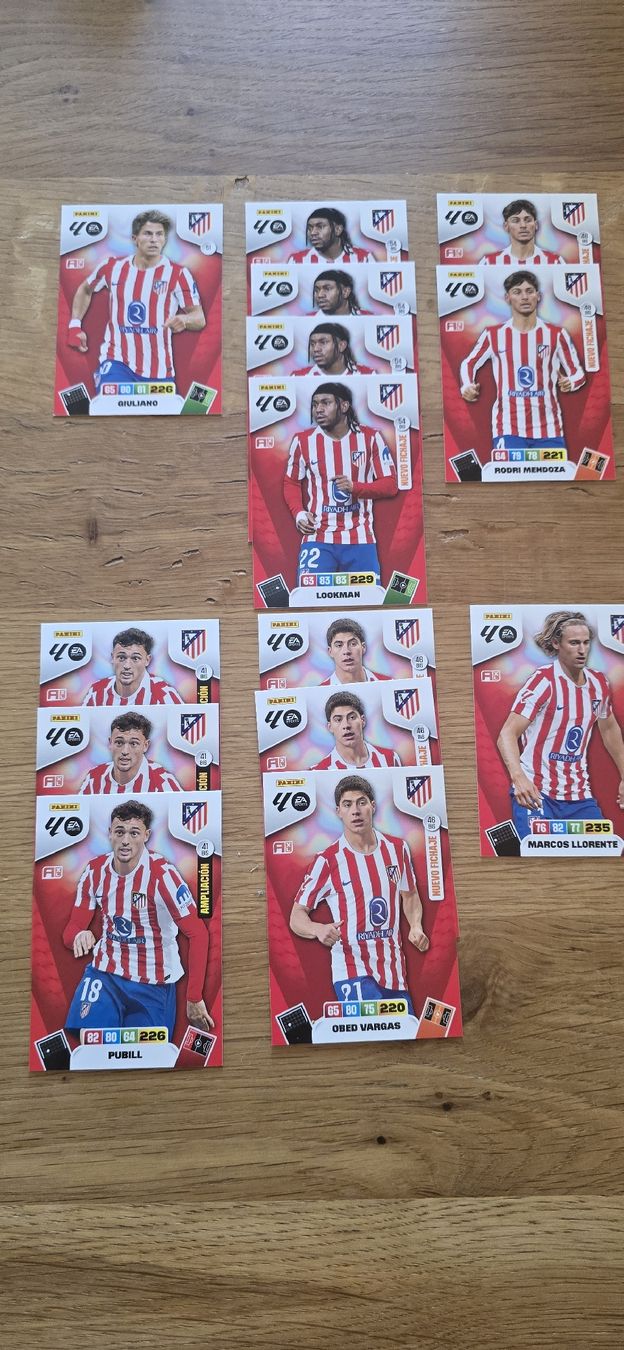 Panini Carte collezionabili: Atletico de madrid Panini – Usato da Safnern venduto da Brionne