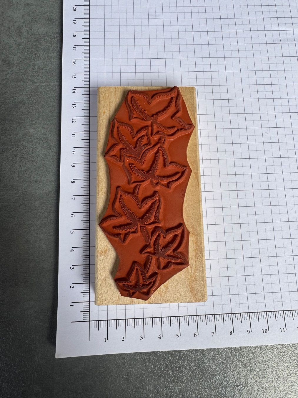Timbri: Holzstempel Efeu 1x  benutzt – Nuovo (secondo la descrizione) da Gündlischwand venduto da Rebenhof 1