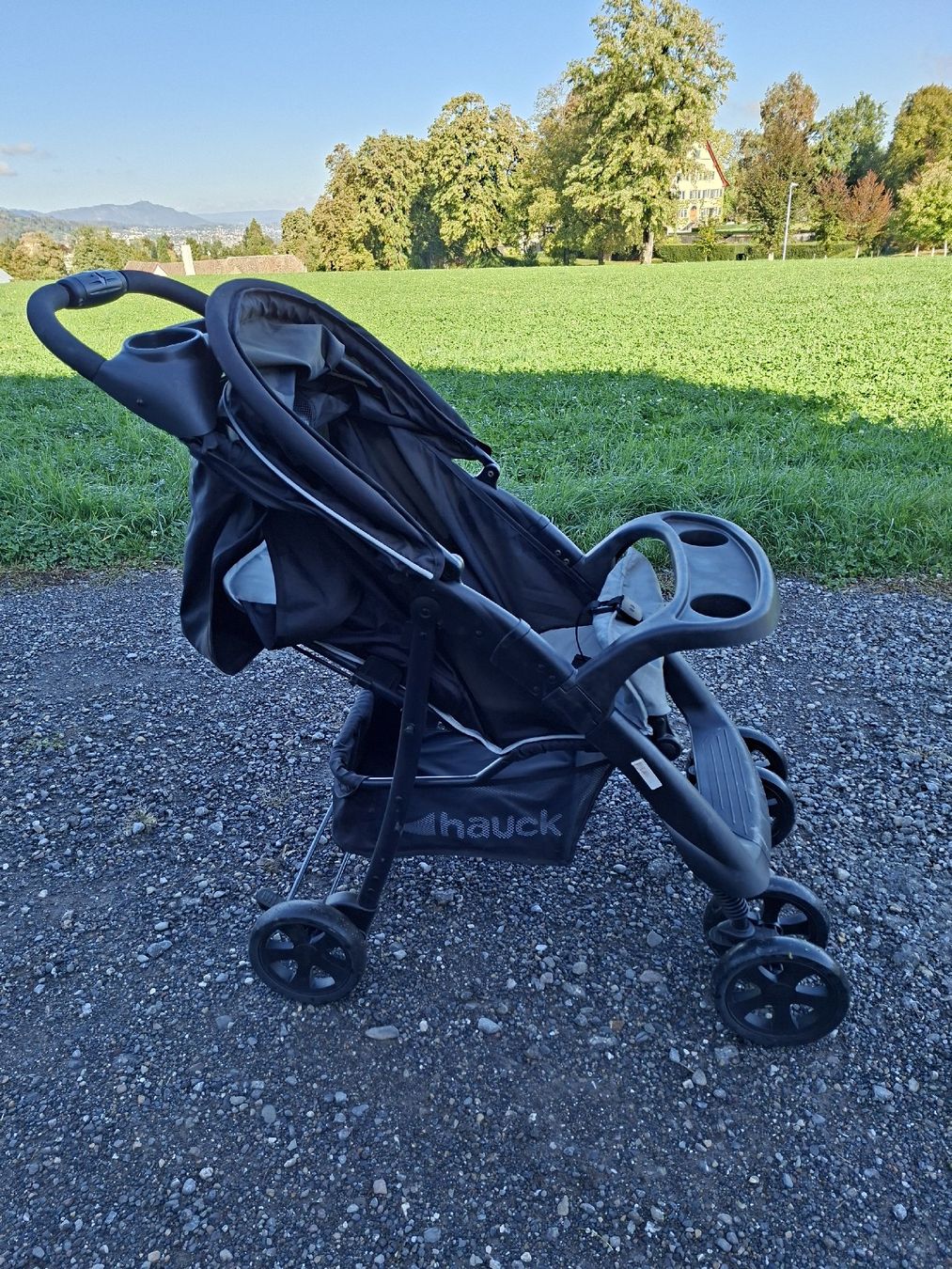Kinderwagen Zubehör: Kinderwagen Buggy – Gebraucht aus Horgen von ratNski
