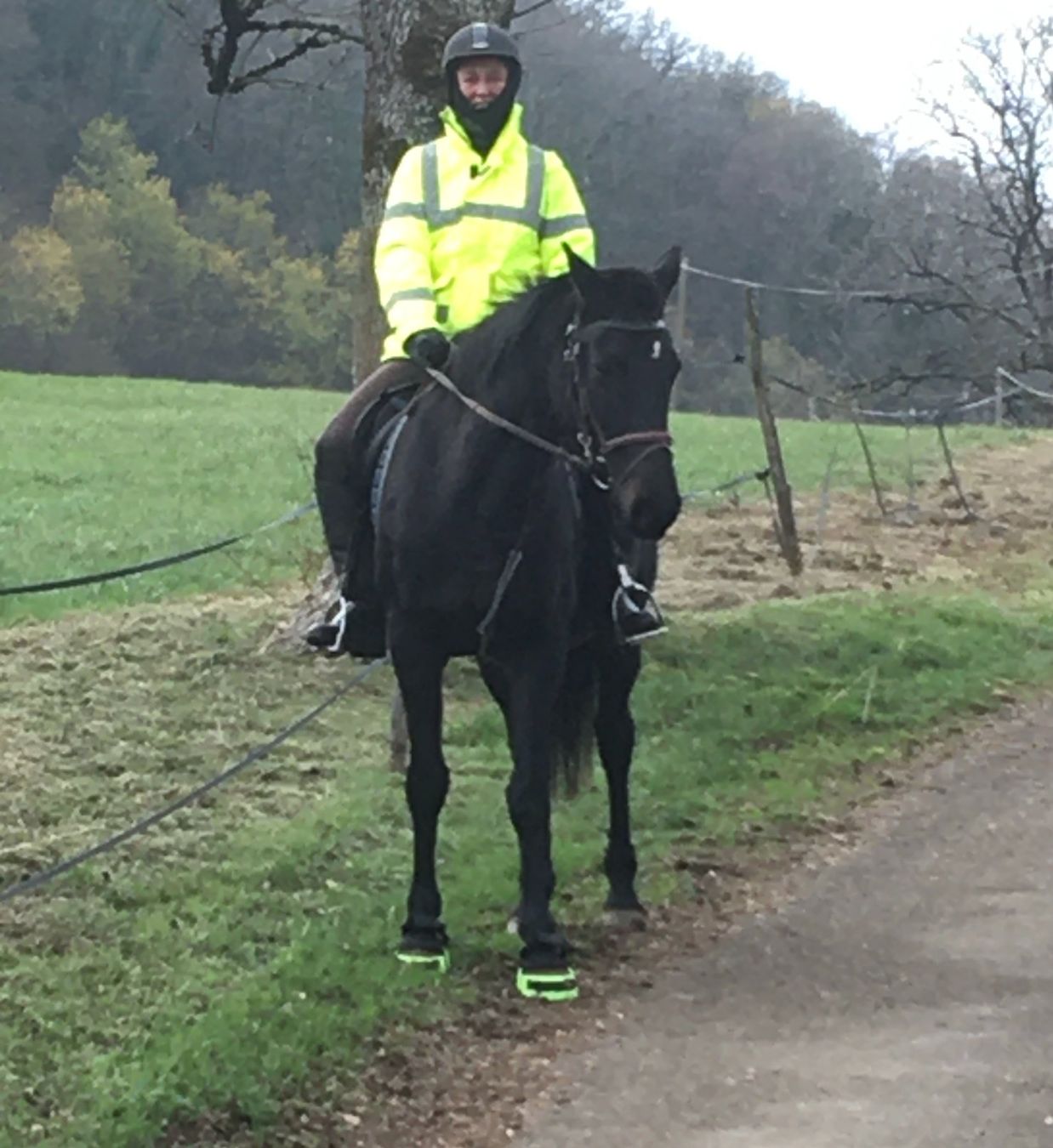 Jacken: Leuchtjacke zum reiten – Gebraucht aus Estavayer-le-Lac von nuschinc 1