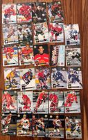Eishockey-Sammelkarten Konvolut guter Zustand