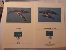Palau WWF Whalen 1983