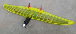 Nurflügler mit Elektromotor