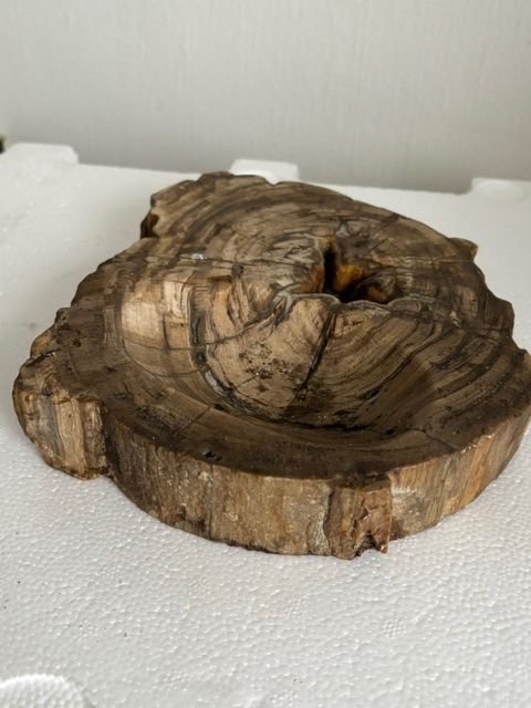 Fossili: Versteinertes Holz – Usato da Herisau venduto da wol_ndx2 2