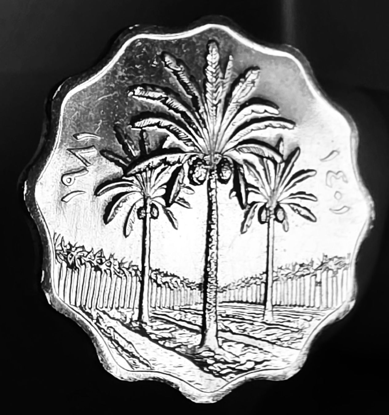 Tutti le monete: IRAK 5 FILS 1401/1981 – Usato da Winterthur venduto da Creso70