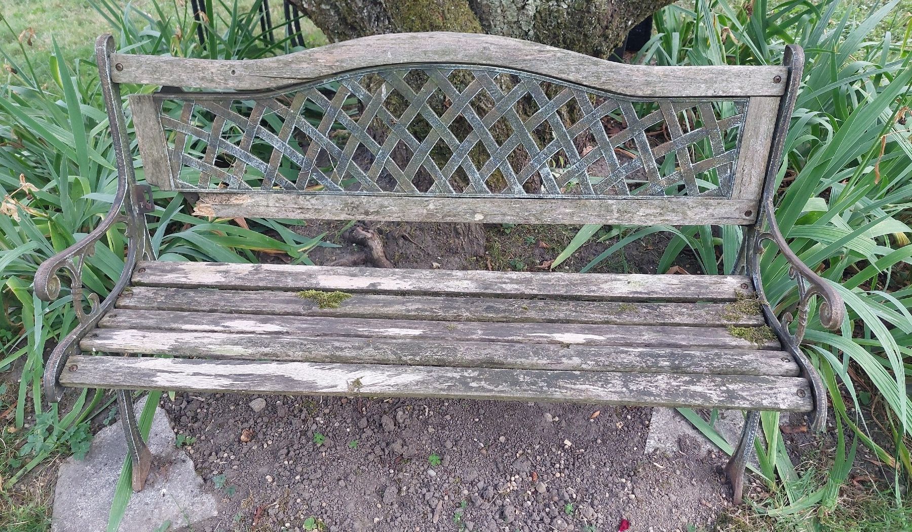 Bänke: Gartenbank Holz Metall – Defekt aus Amlikon-Bissegg von SteHof