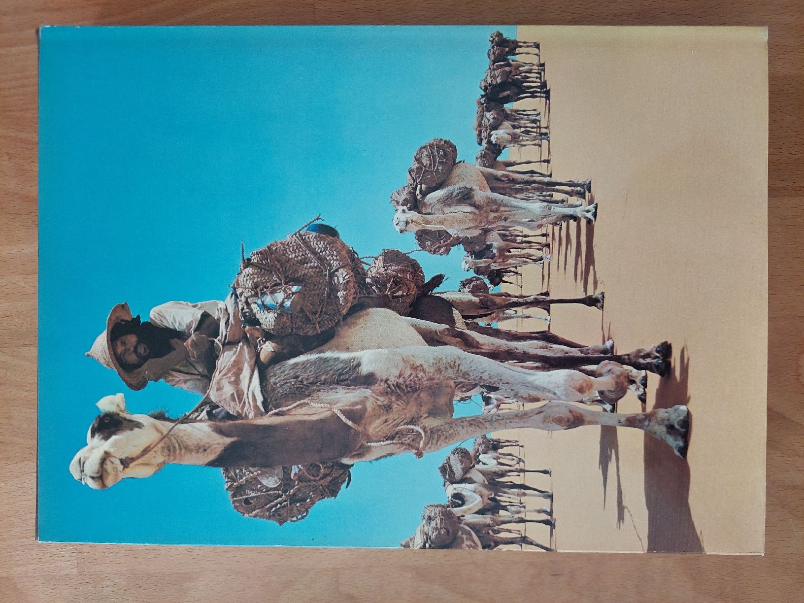 Libri: Sahara – Usato da Yverdon-les-Bains venduto da pri_x6j6 5