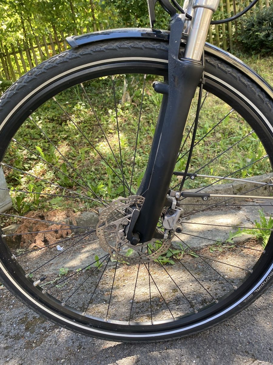 Cresta Biciclette: BOSCH CRESTA 25km – Usato da Luzern venduto da Goodmorning_16 5