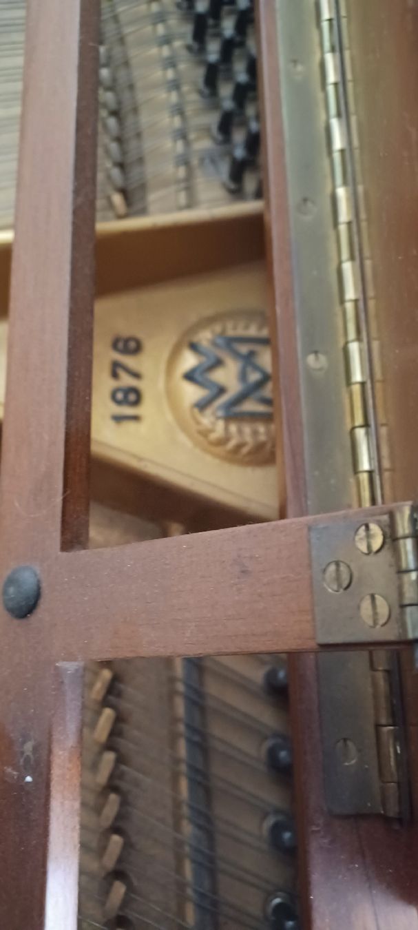 Strumenti musicali: Flügel(klein) – Usato da Biel-Benken BL venduto da Live010 1