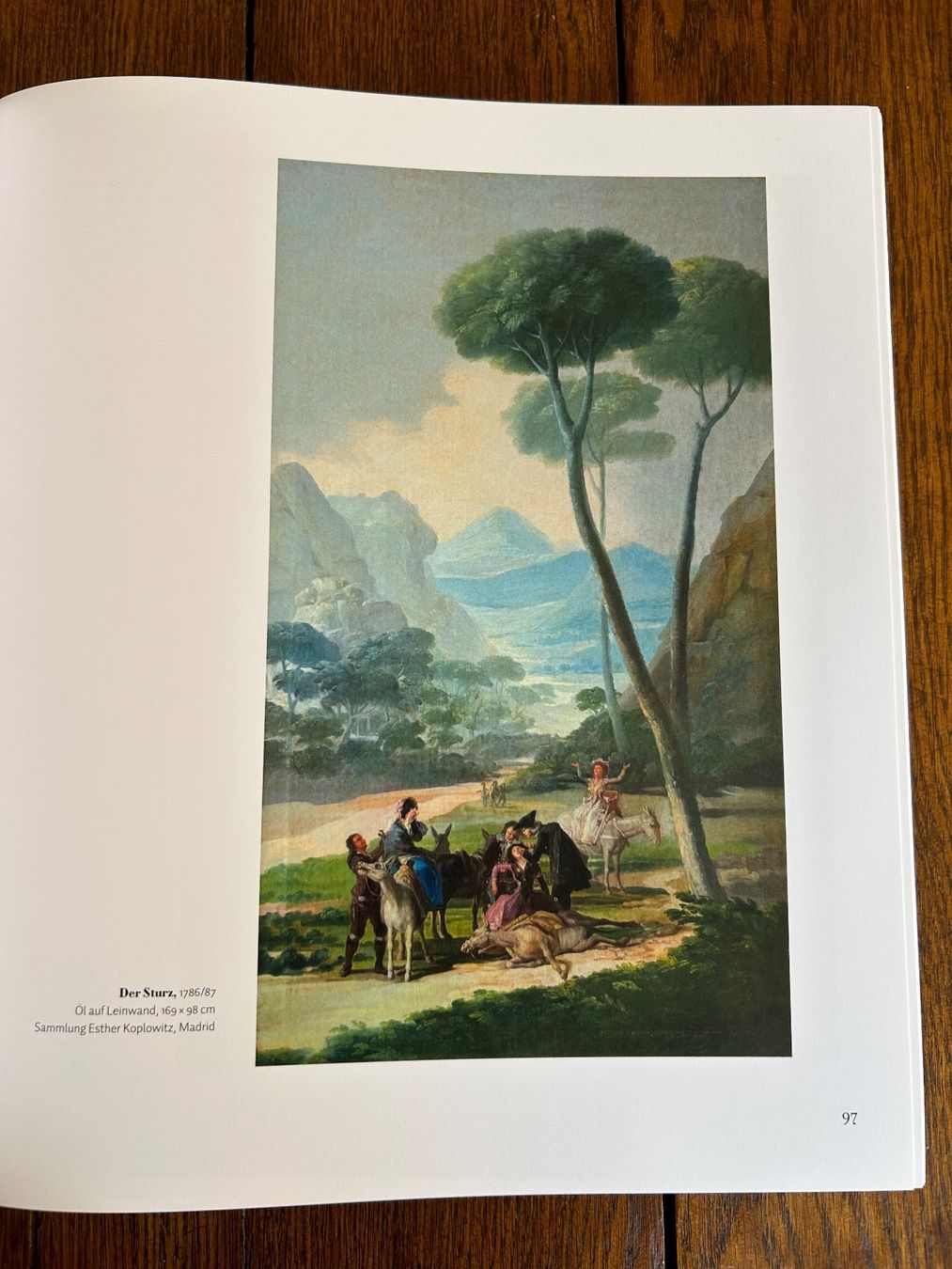 Libri: Fondation Beyeler: Goya – Usato da Basel venduto da Peter_schlemihl 3