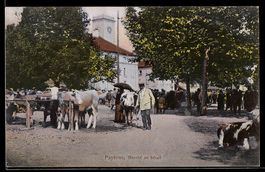 AK Payerne, Marché au bétail