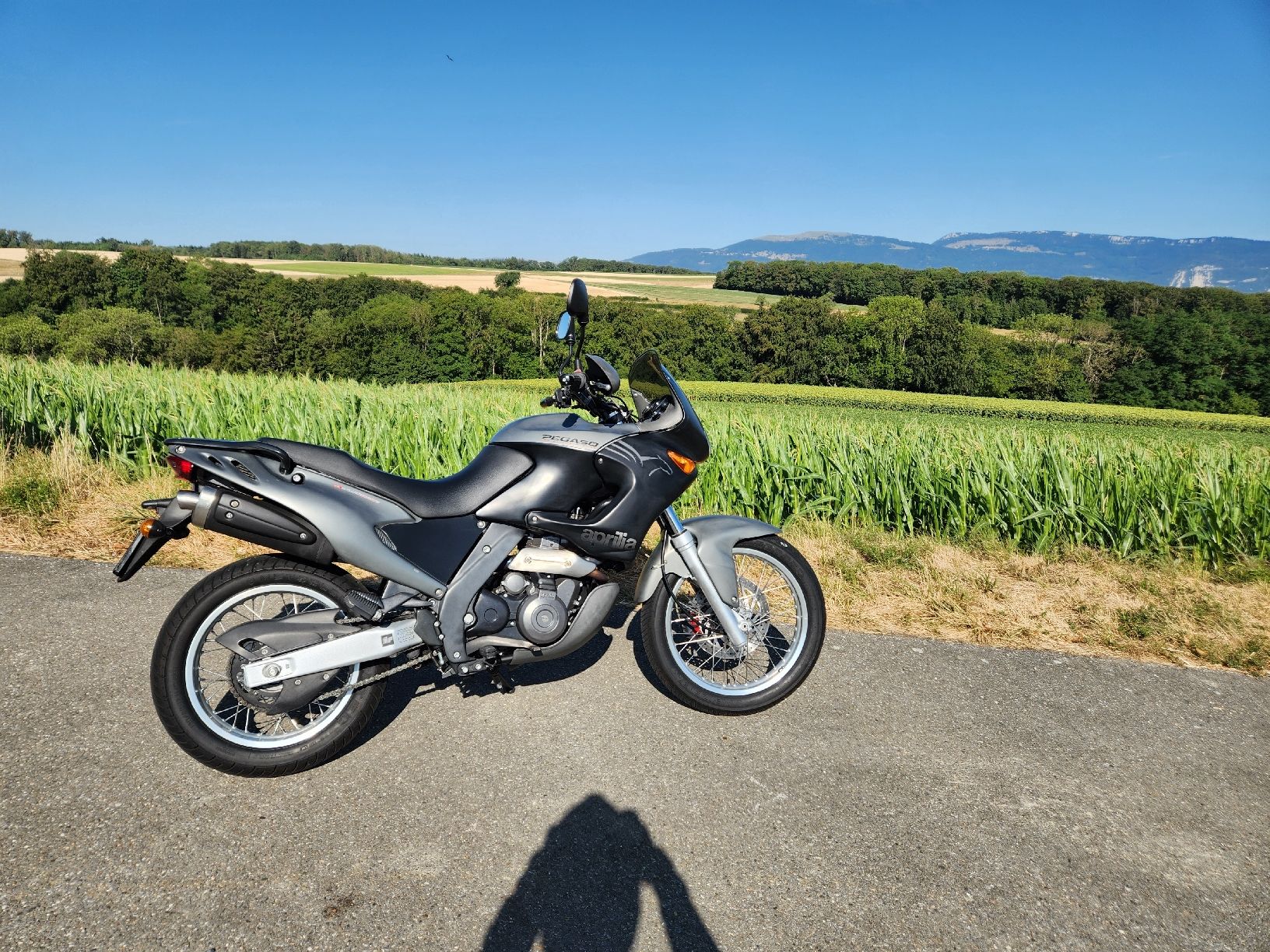 Aprilia Enduro: Aprilia Pegaso 650 2004 – Usato da Schüpfen venduto da joa_hsw5 4