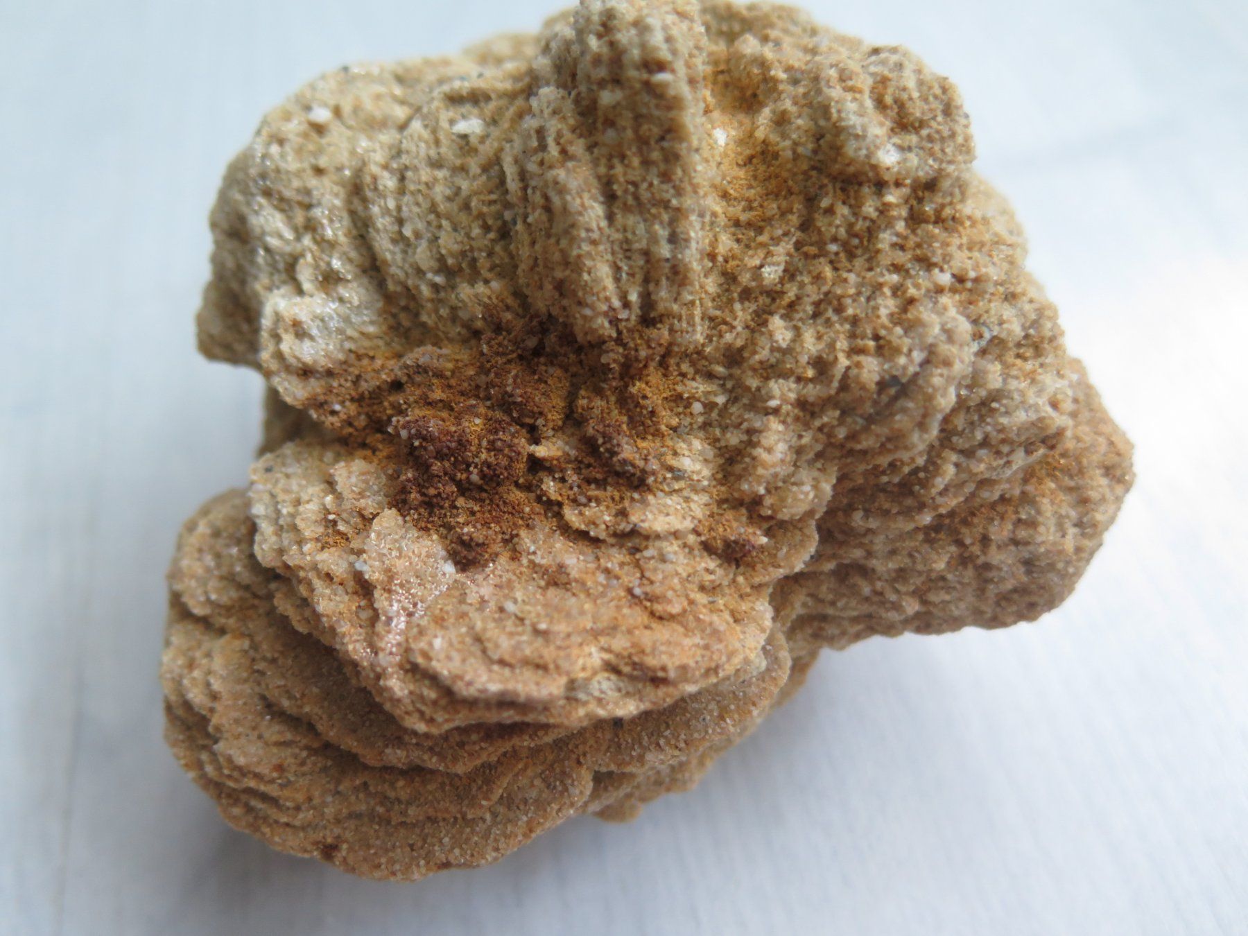 Minéraux & Lithothérapie: Barytrose 466 gr. von Rockenberg – D'occasion à Schaffhausen par Yamakana51L8736OQ8 6