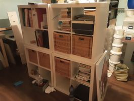 Regal Ikea EXPEDID