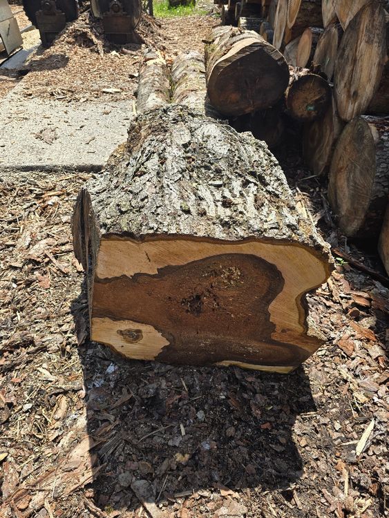 Articoli in legno: Nussbaum Rugel Hohl – Usato da Lützelflüh-Goldb venduto da ch.waelchli-holz.ch 2