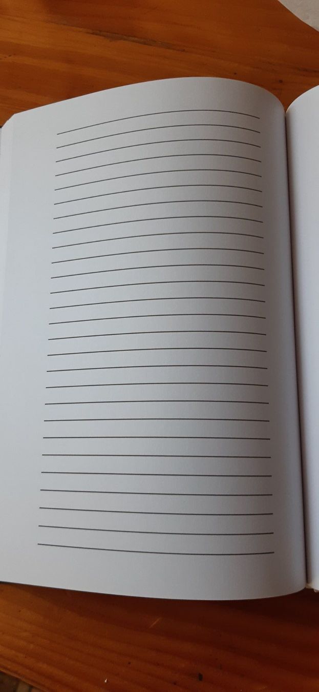 Schreibblöcke: Notizbuch mit Kuhmotiv – Neu (gemäss Beschreibung) aus Doppleschwand von Sandrafritz 1