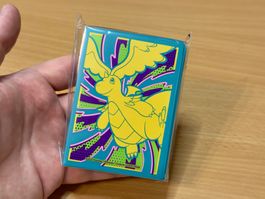 Sleeves Pokémon ETB Mega Dracolosse ME02.5