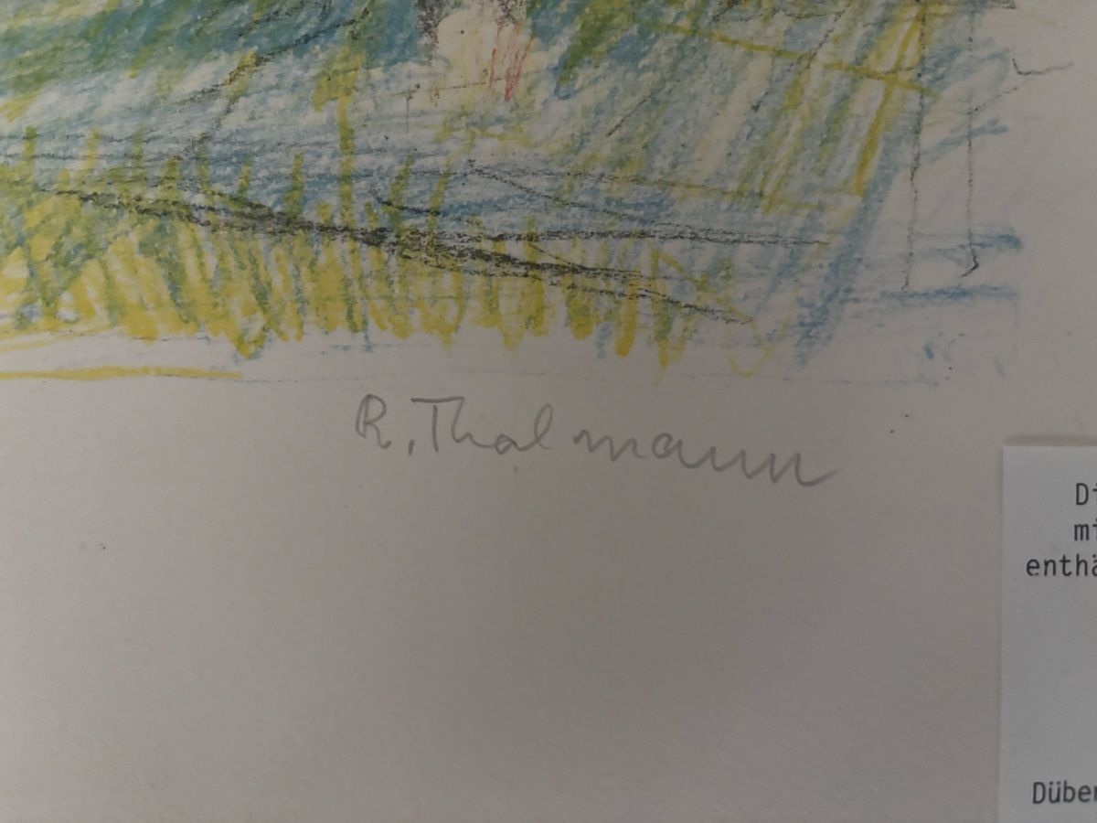 Arts picturaux & lithographies: Lithographie Thalmann Roland 97/100 – D'occasion à Flums par Limatools 2