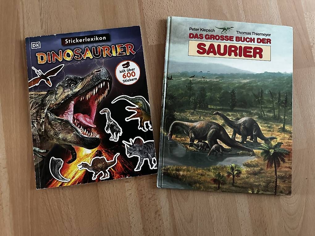 Libri: Dinosaurier Bücher – Usato da Olten venduto da Simone122