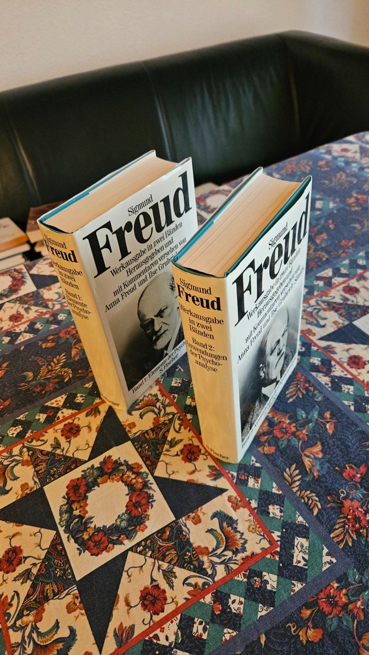 Bücher: Sigmund Freud - Psychoanalyse - Werkausgabe in 2 Bänden – Gebraucht aus Schachen b. Herisau von lilienstrauch 1