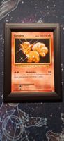 Goupix 14/108 - Evolutions FR