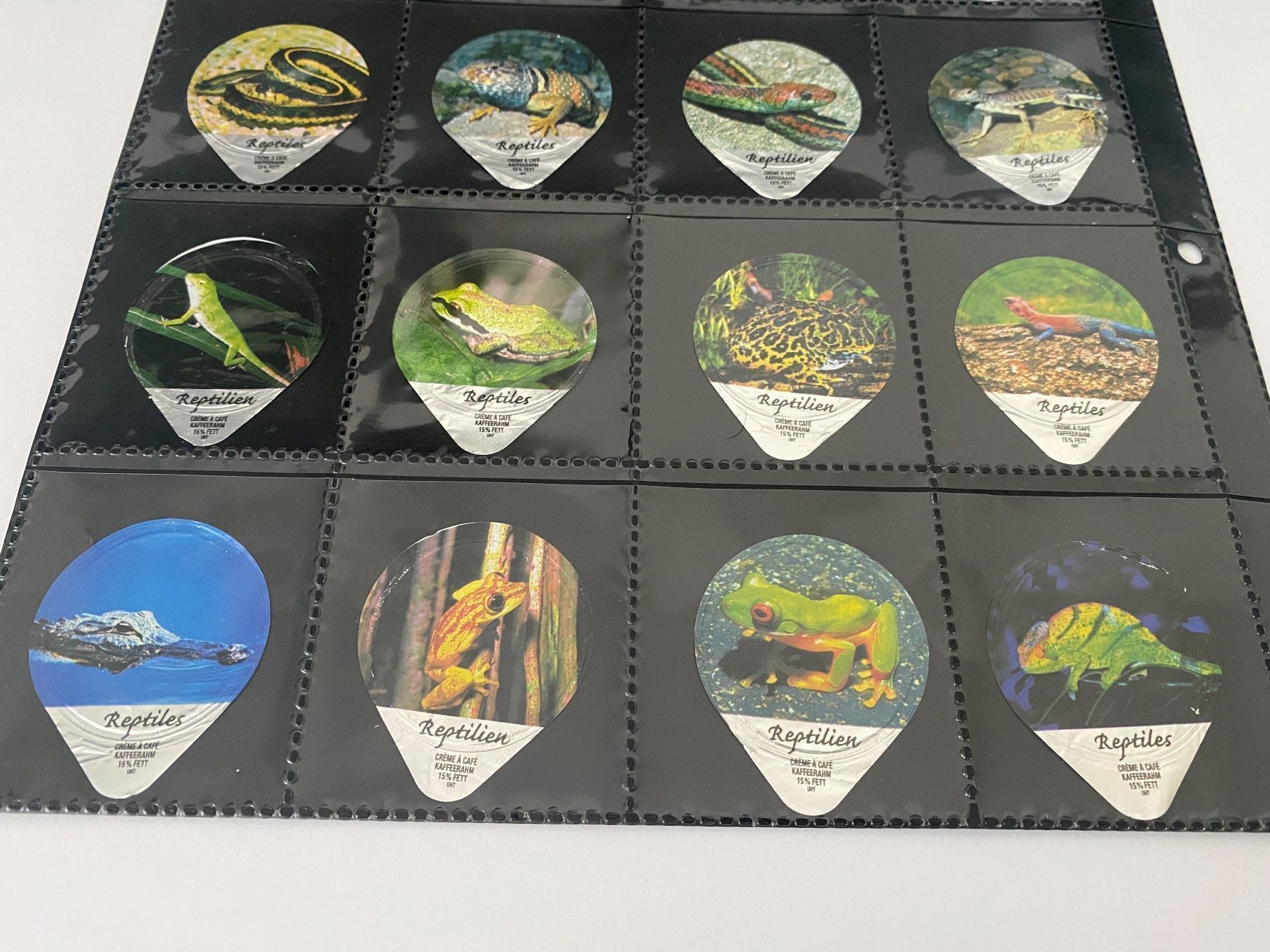 Coperchi dei cremini per caffè: KRD 494 REPTILIEN – Usato da Glattbrugg venduto da riseca 4