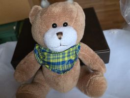 Plüschtier Teddy diehe Foto