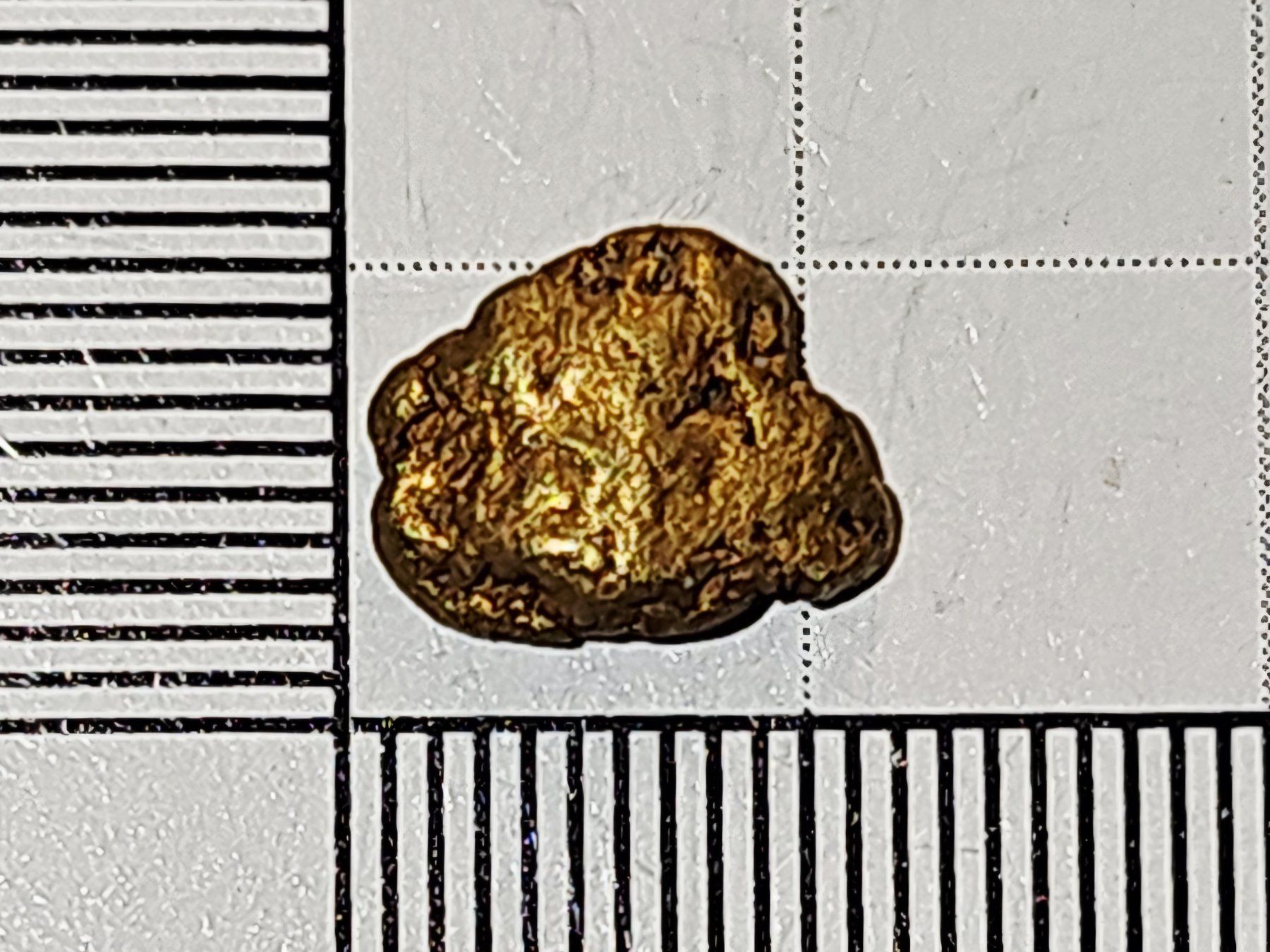 Metalli preziosi: Natürliches schweizer Gold Nugget – Nuovo e nell'imballaggio originale da Uerkheim venduto da Winwinner