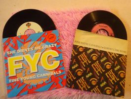 FINE YOUNG CANNIBALS * SHE DRIVES ME CRAZY * JOHNNY COME HOM