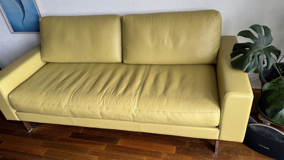 Divani: Sofa Rolf Benz – Usato da Boll venduto da pfar 2