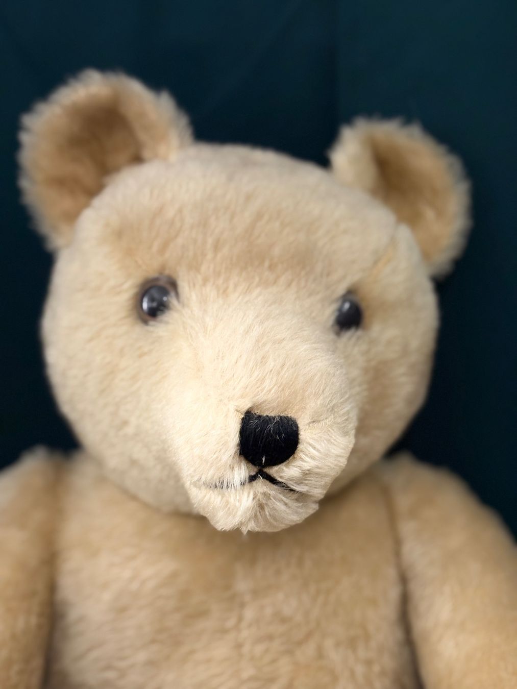 Giocattoli: Klassischer Mohair Teddybär mit Brummstimme – Usato da Horgen venduto da sven.gryspeerdt 1